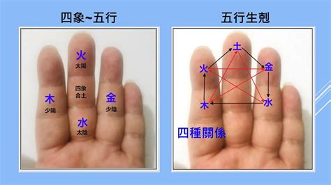 納音五行掌訣